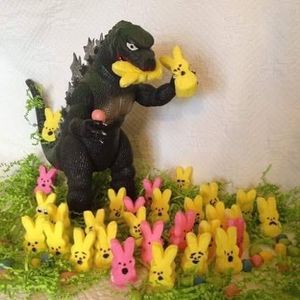 Meet your Posher, Diane